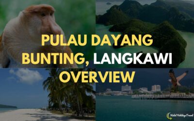 Gambaran Keseluruhan Pulau Dayang Bunting, Langkawi