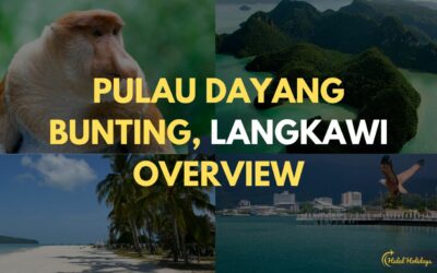 Tổng quan về Pulau Dayang Bunting, Langkawi