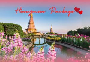 4D 3N - Chiang Mai Tour (Honeymoon Package)