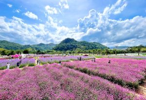 4D 3N – Bangkok, Khao Yai Tour