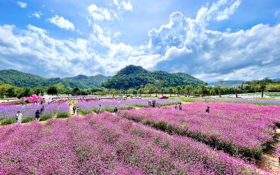 4H3M – Bangkok-Khao Yai (Thailand)