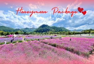 4D 3N – Bangkok & Khao Yai Tour (Honeymoon Package)
