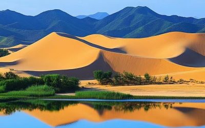 8H7M-Mongolia Dalam, Gansu dan Ningxia (China)