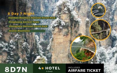 8D7N – จาง เจียเจี๋ย (จีน)