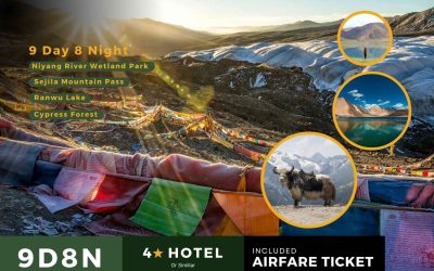 9D8N – ทิเบต (จีน)