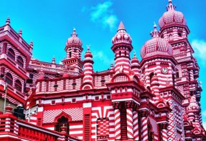 8D7N- EXPLORE SRI LANKA