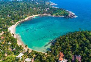 4D3N- EXPLORE SRI LANKA