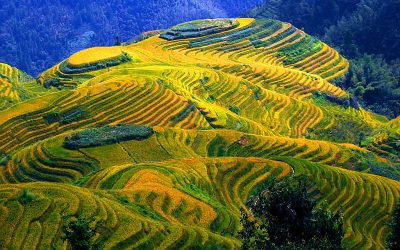 6D5N – กุ้ยหลิน (จีน)