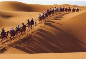 9D7N - Xi'an-YinChuan (China)