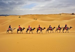 10D8N - Xian & Ningxia (China)